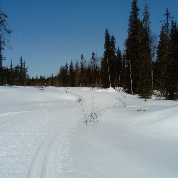 Late season cross-country skiing
