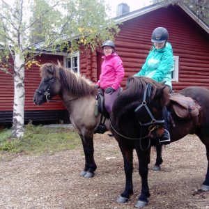 Once the lumberjacks had carthorses assisting their hard job. Today Rönölä welcomes visitors moving around by horse powers
