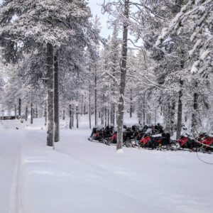 New forest trail for snow mobiles